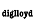 Diglloyd Review