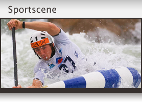 Sportscene - Sonnet Case Study