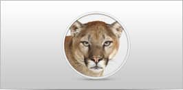 OS X